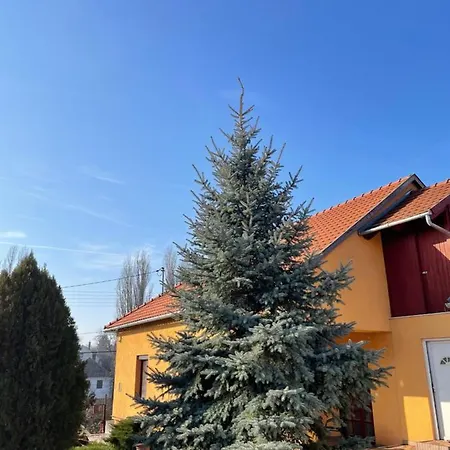 Apartment Beke Videke Vendeghaz Szentkiralyszabadja
