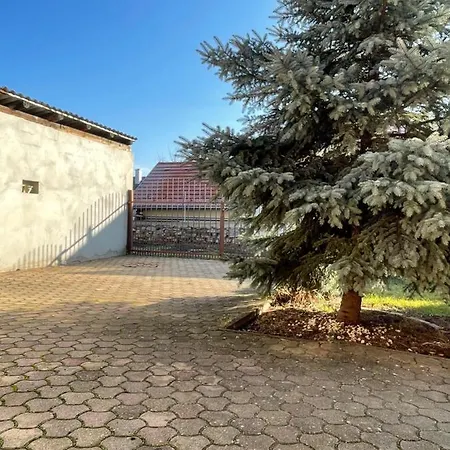 Beke Videke Vendeghaz * Szentkiralyszabadja